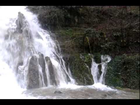 Optima Communication - excersiónes en inglés