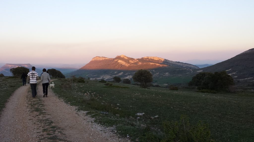 25 años de inmersión en inglés para profesionales Optima Communication