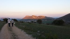 25 años de inmersión en inglés para profesionales Optima Communication